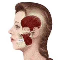 微运动有哪些方法,容易做的运动懒人运动