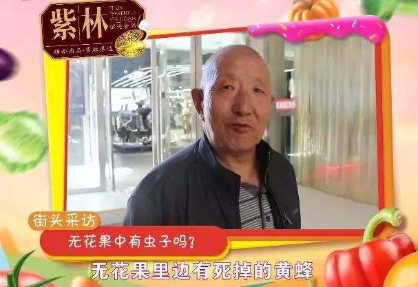 每个无花果里都有一个死黄蜂,每个无花果都藏着一个尸体吗