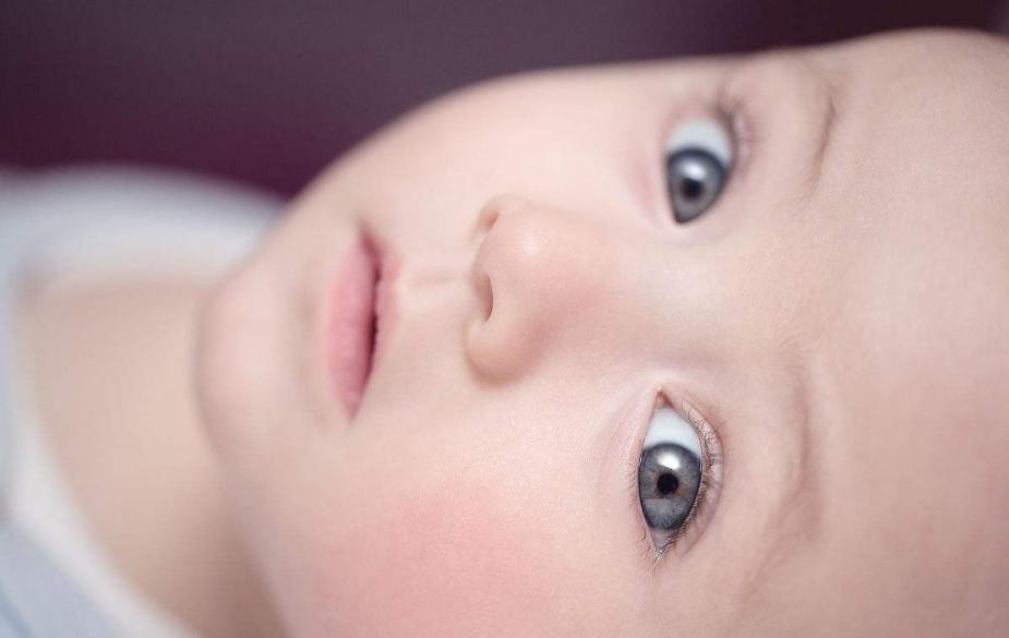 趣味百科错觉,趣味百科和自然探秘