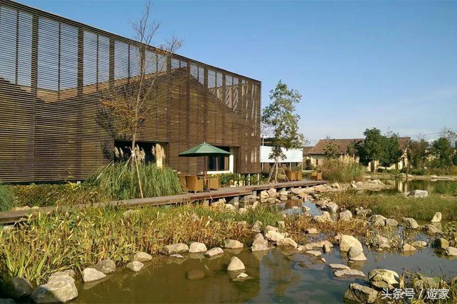 上海适合带孩子玩的农场,上海最好的亲子农场