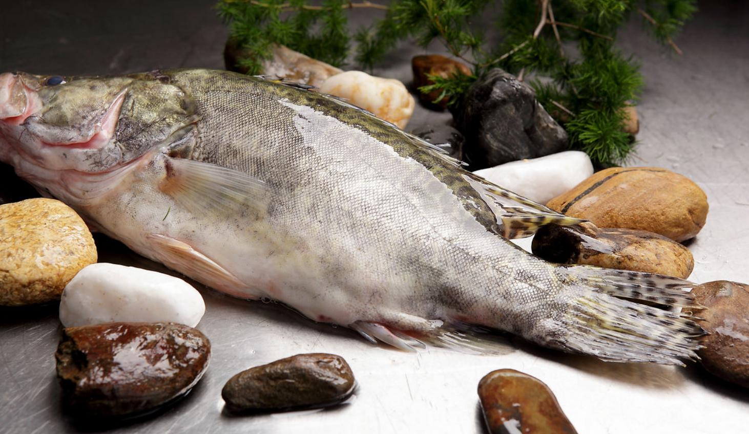 桂花鱼最好吃的做法,爱吃鱼的要收藏了教你秘制新方法