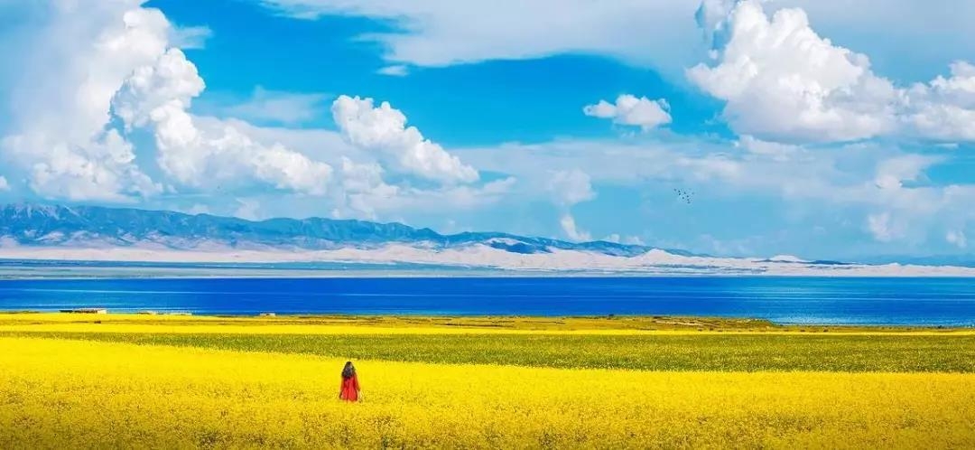 大美青海旅游自驾拼车,大美青海旅行天堂
