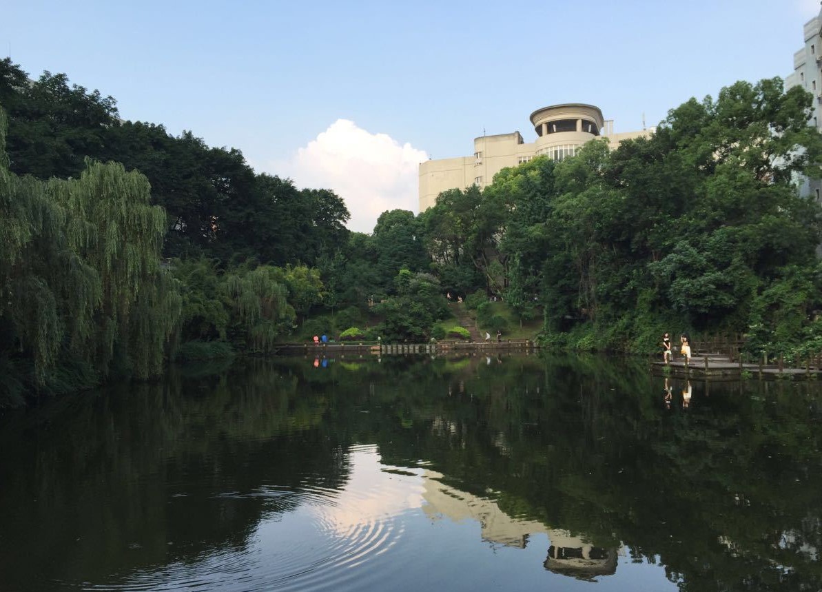 录取分偏低的211大学,分数低的211文科