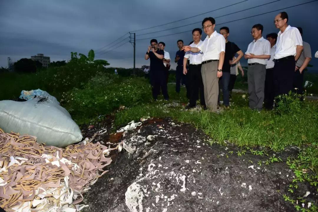 中央环保督察组第五组反馈四川,广东省环境保护督察第四批督察组