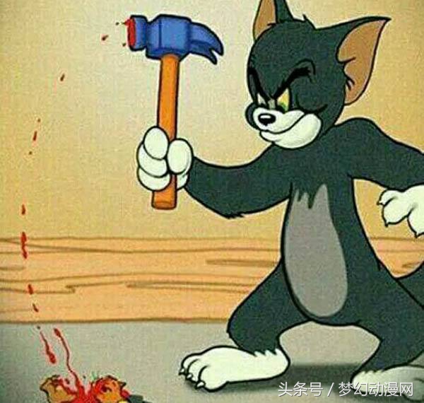 猫和老鼠老鼠被虐,猫和老鼠为什么猫总是被欺负