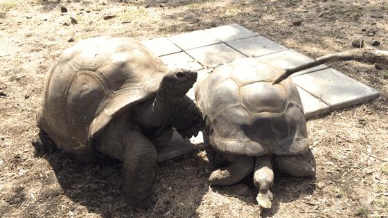 你喜欢什么样的海水,你喜欢什么样的海