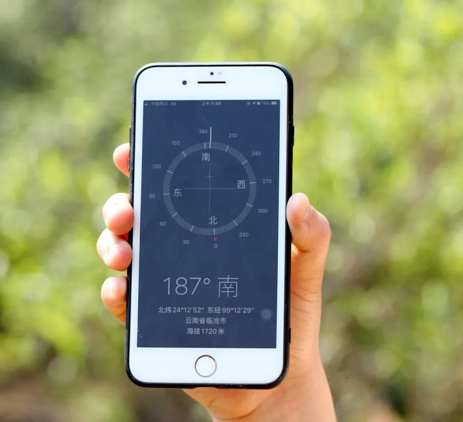 锅底塘和梅子箐区别,锅底塘梅子箐古树茶