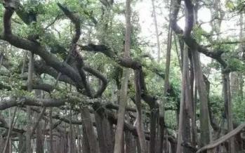 中国最神秘的一个地方是什么,中国最神秘的地方