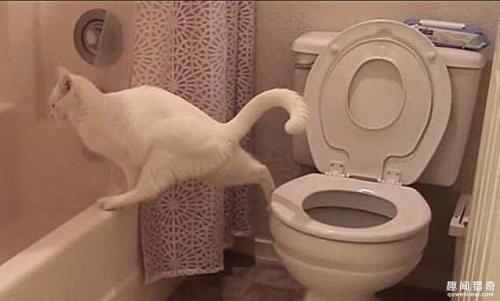 日本调查：多少人喜欢憋屎憋尿憋到不行再去上厕所