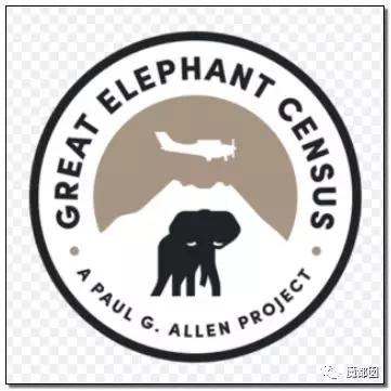 微软创始人逝世读后感,微软创始人传奇历史