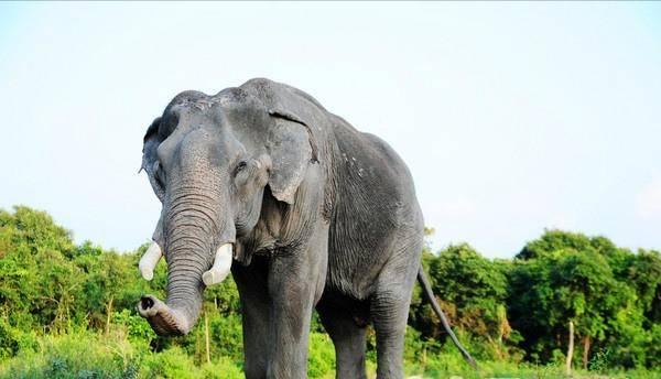 泰国值得一去的理由,泰国值得去的理由