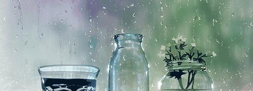 一二年级成语大全及解释 (小学一年级成语积累及解释)