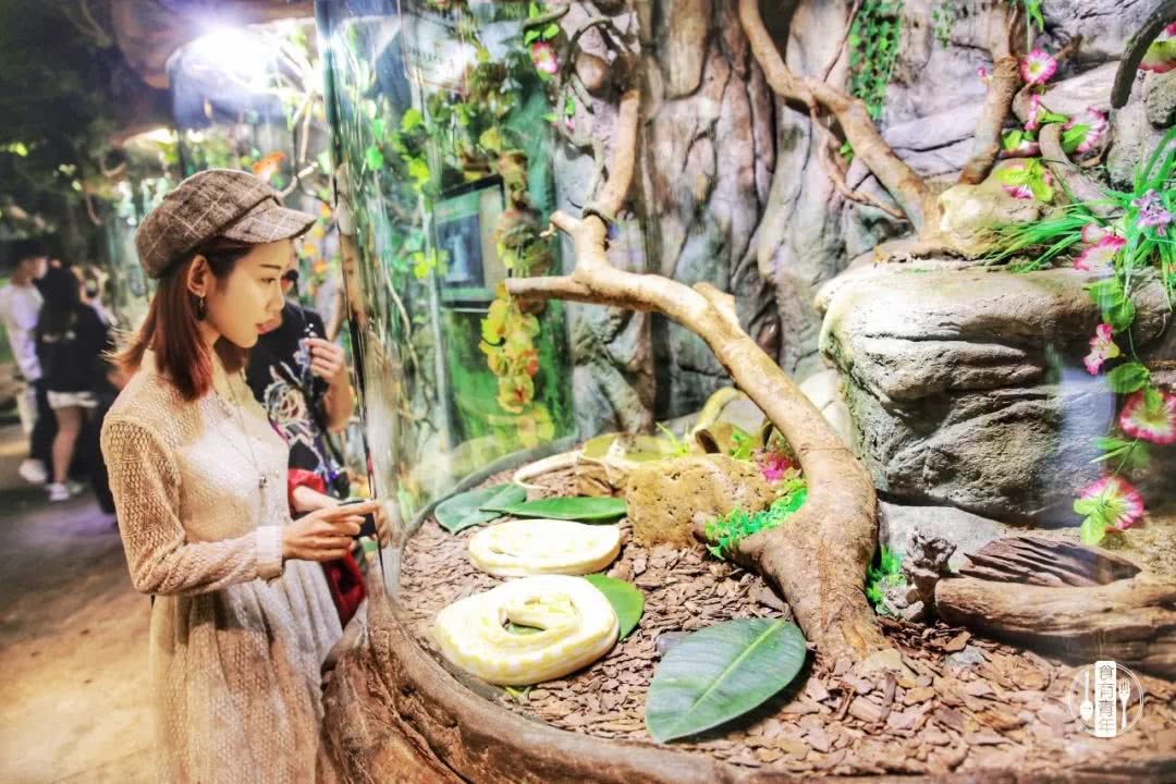 动物园万圣节里面有什么,万圣节动物王国