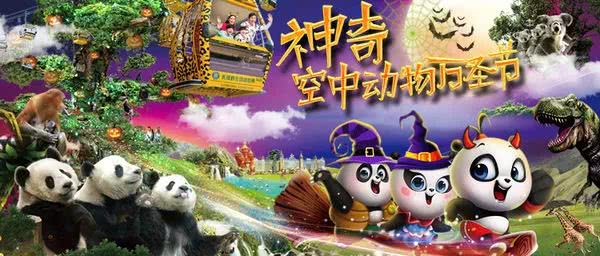 动物园万圣节里面有什么,万圣节动物王国