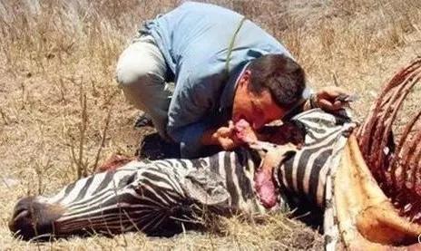 鳄鱼吃鳄鱼的视频搞笑,鳄鱼吃鳄鱼搞笑视频