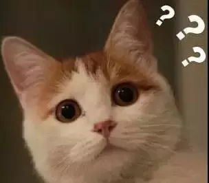 四种方言你能听懂几种,十种最难完整的方言东北话