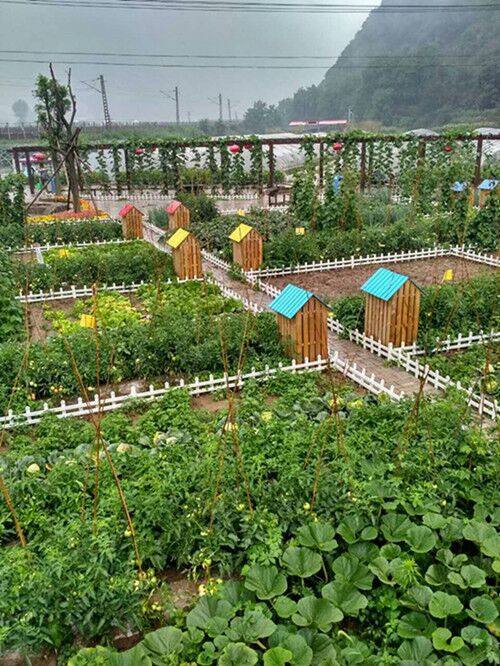 互联网农业现实版开心农场,农场新型开心娱乐项目