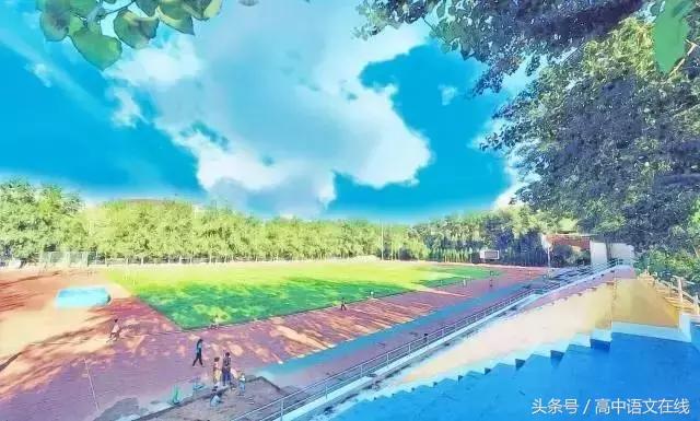 高中英语定语从句习题讲解,高中英语定语从句讲解从基础开始