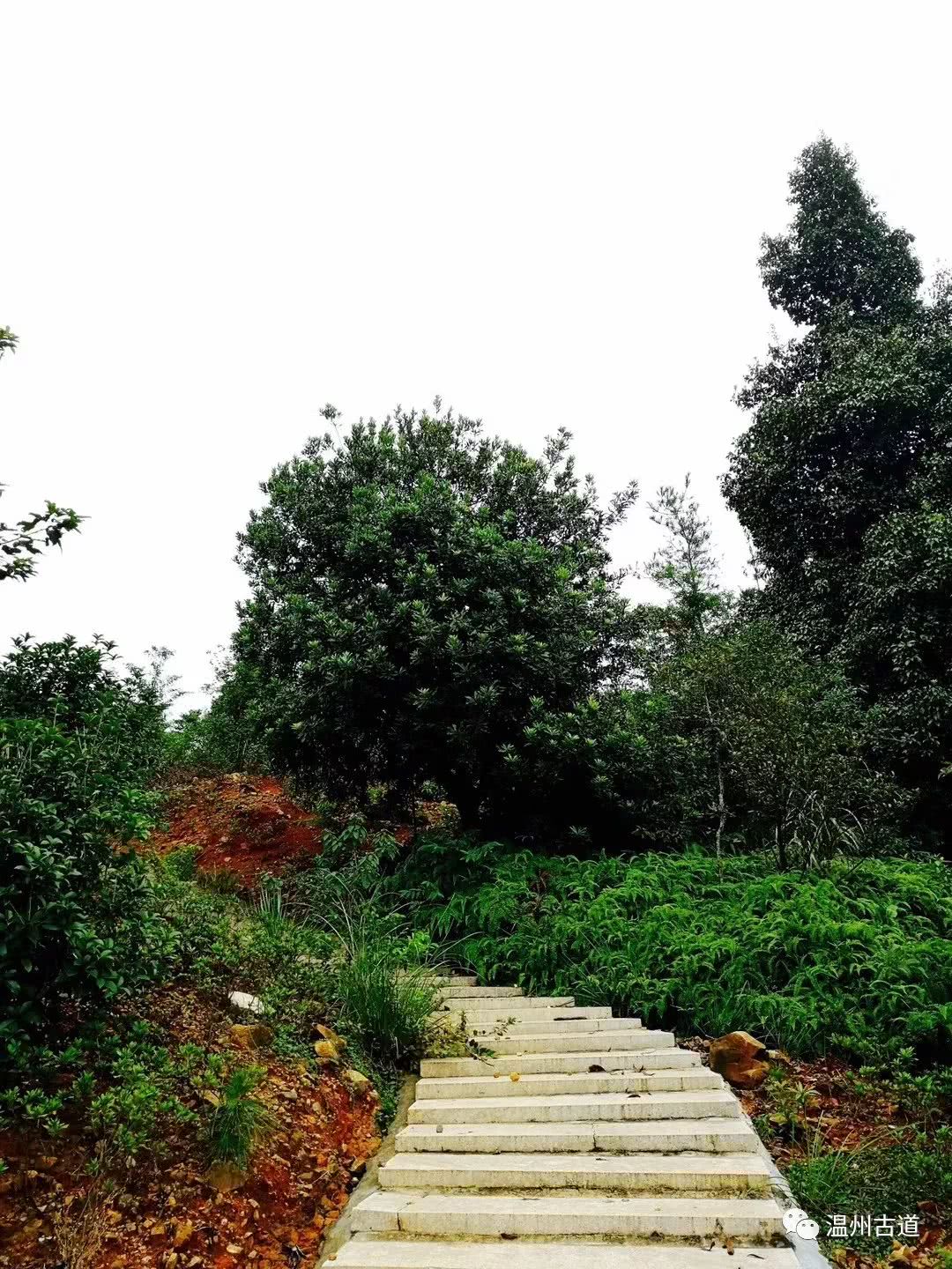 瓯海瞿溪风景,远山近水如诗如画