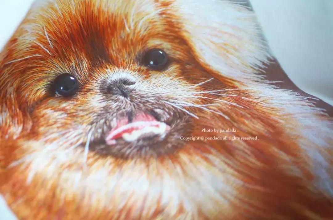 她用中国刺绣惊艳世界,她用一幅中国刺绣便惊艳了世界