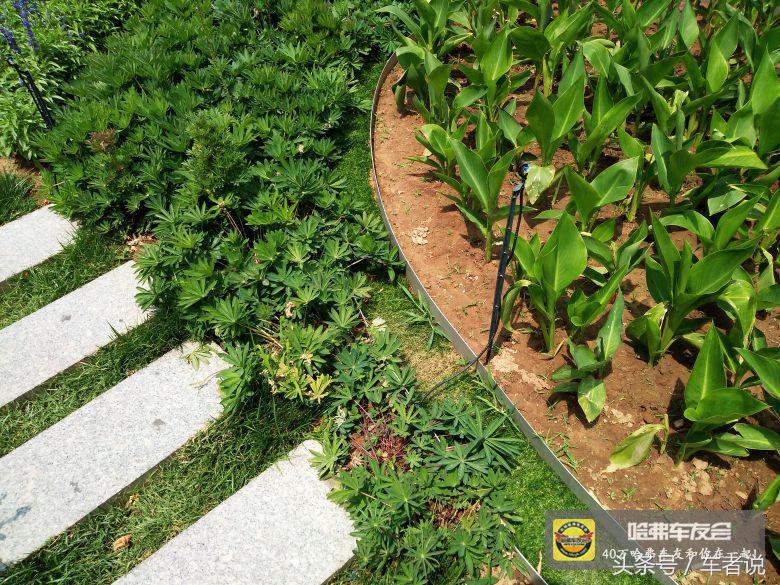 哈弗h2车主真实感受,2015年哈弗h2油耗多少