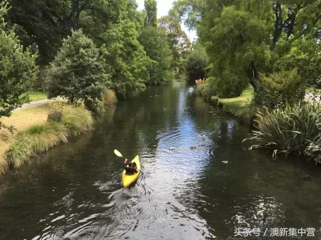 中专学历45岁留学新西兰,大龄留学新西兰好吗