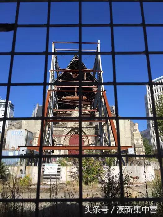 中专学历45岁留学新西兰,大龄留学新西兰好吗