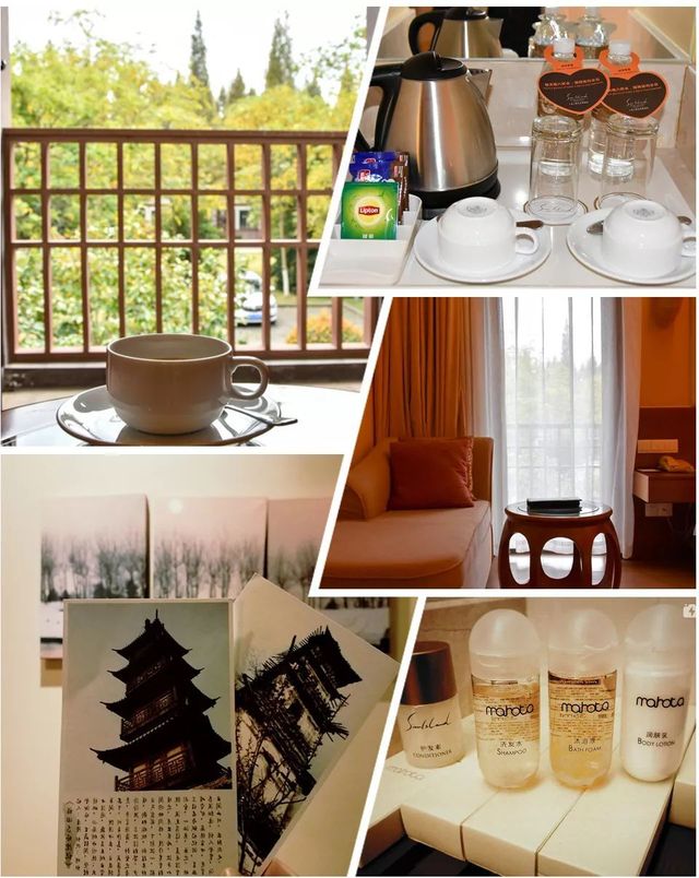 探秘2500亩魔都后花园!欧式别墅独栋、宠物乐园、动物农场高尔夫