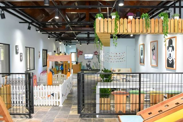 探秘2500亩魔都后花园!欧式别墅独栋、宠物乐园、动物农场高尔夫