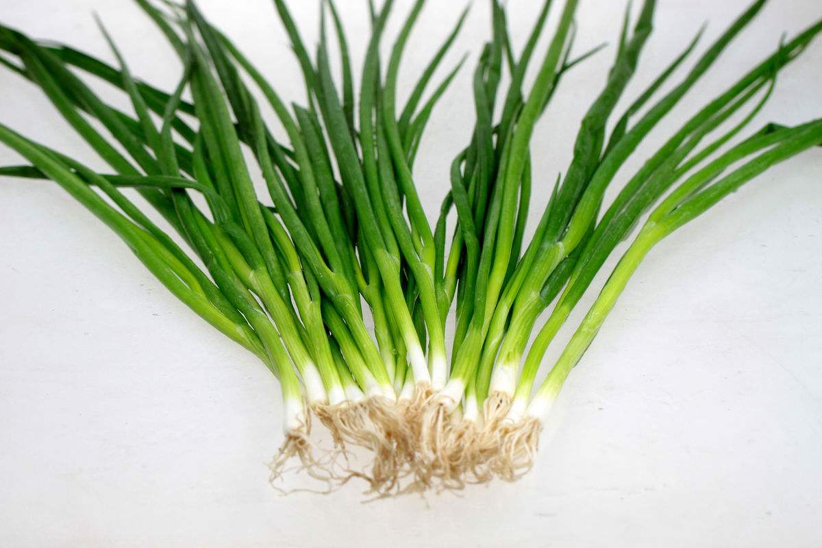 小孩感冒快好了突然又咳得厉害了,小孩感冒后咳嗽一天几声能自愈吗