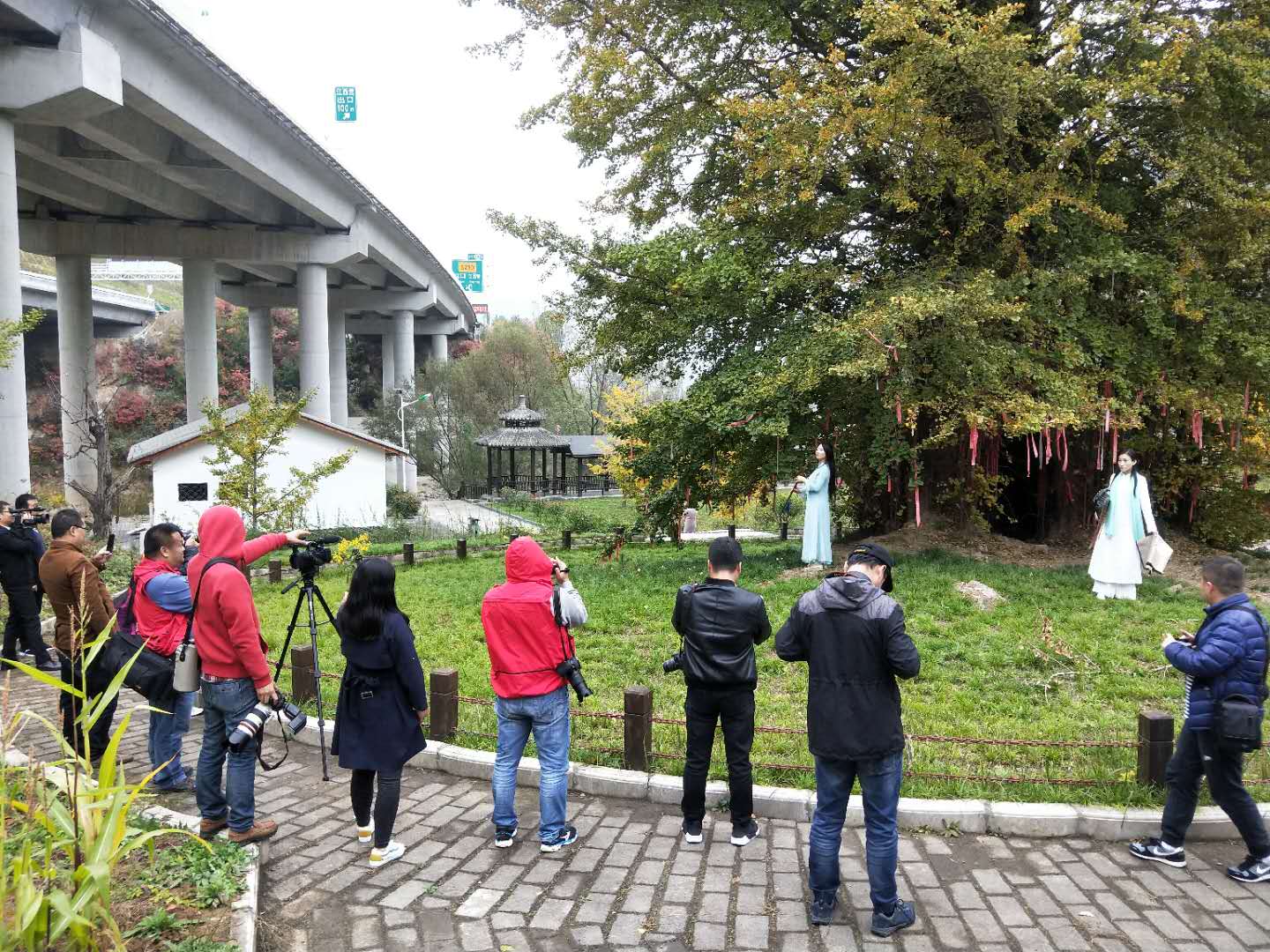 秋景西安好去处,雨后遇晴天留坝寻秋色