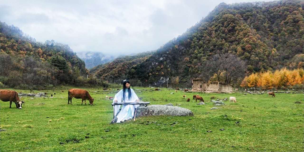 秋景西安好去处,雨后遇晴天留坝寻秋色