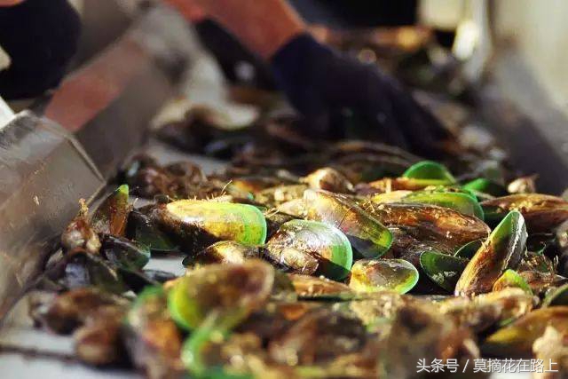 关于东方小希腊枸杞岛的一日游记,小众而避世东方的小希腊枸杞岛