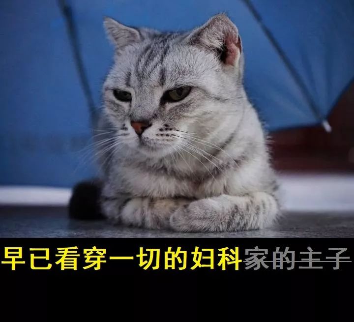 北汽212最新款2023沉浸式体验,北汽制造新款bj212实车曝光