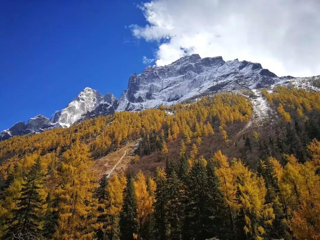 阿坝赏秋一日游,带你看阿坝州秋天的美景