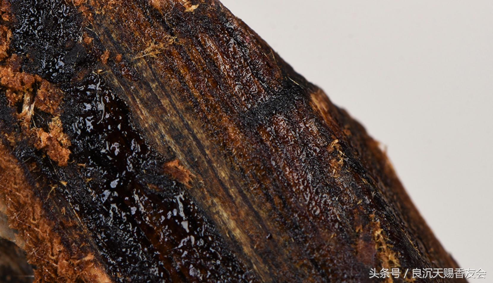 鉴赏奇楠沉香,奇楠沉香欣赏
