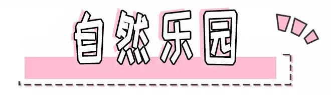 sk-ii护肤品真的有那么好吗,skii护肤品真的好用吗