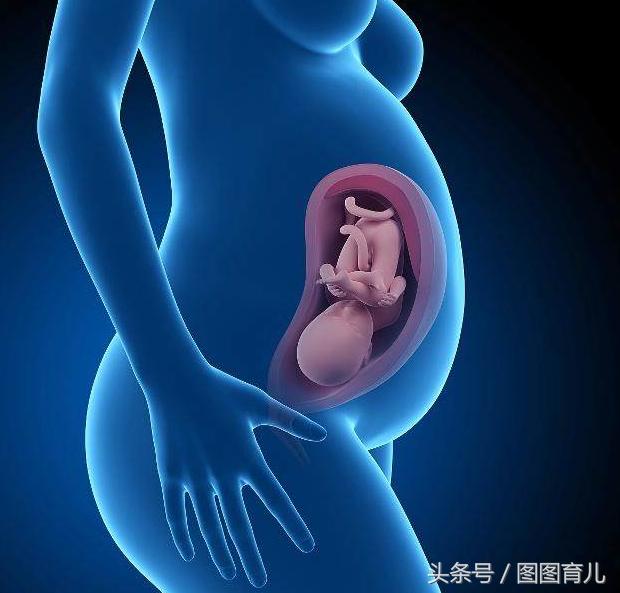 怀孕3个月胯疼怎么回事,怀孕七个月为什么感觉胯部疼