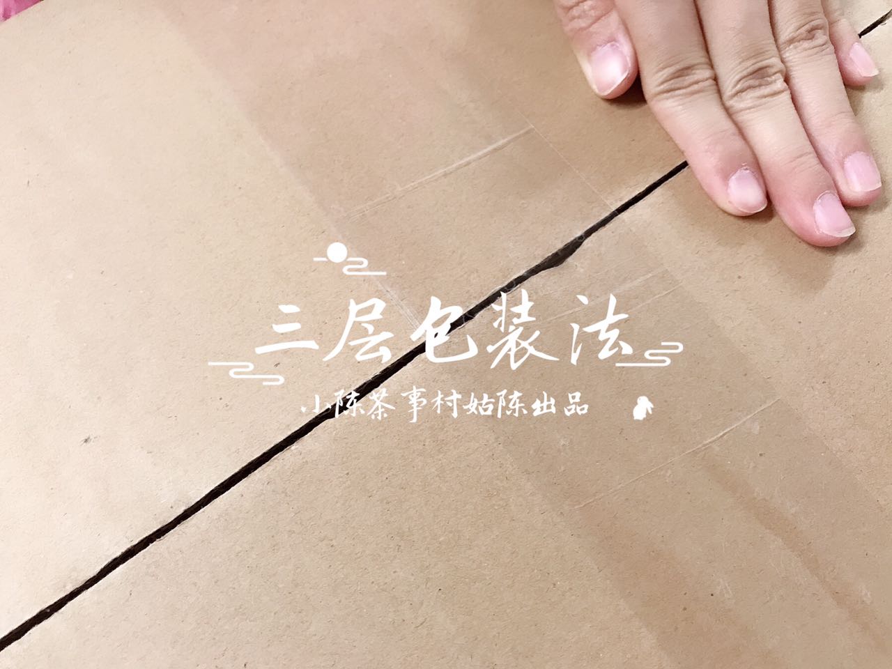 白茶要密封保存吗,白茶保存需要用密封袋吗