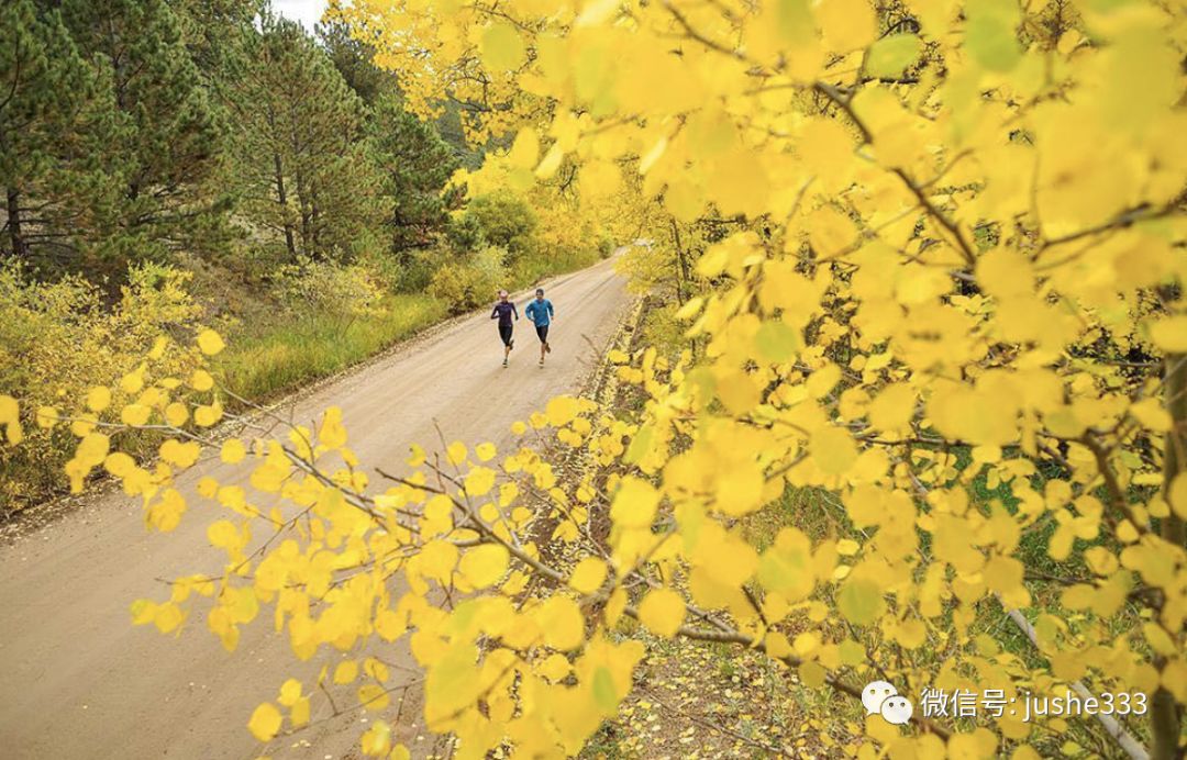 商务冲锋衣怎么搭配好看,哪个品牌的冲锋衣比较商务