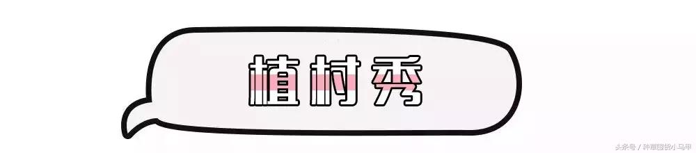 13个大牌圣诞限定再不买就晚了,圣诞节限量版有必要买吗