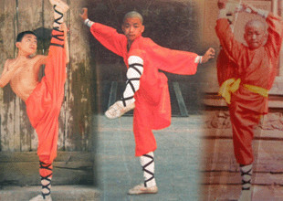 农村人丽颖和宝强