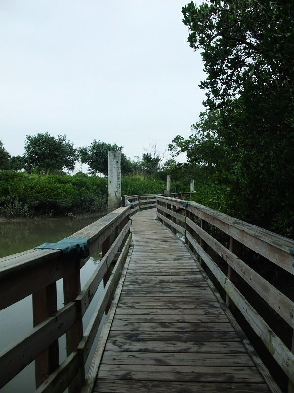 穷驴旅游,港囧游香港
