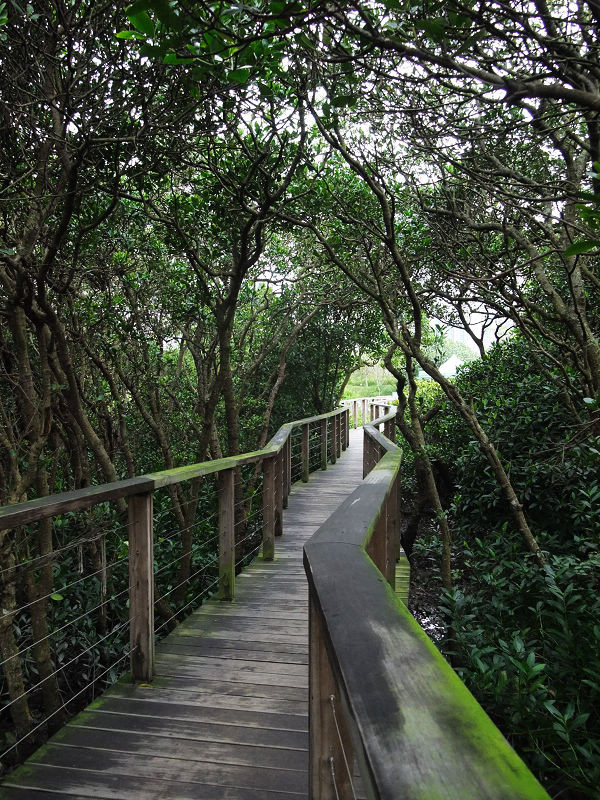 穷驴500块囧囧游香港（详细攻略带图）