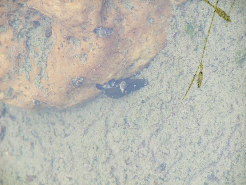 穷驴旅游,港囧游香港