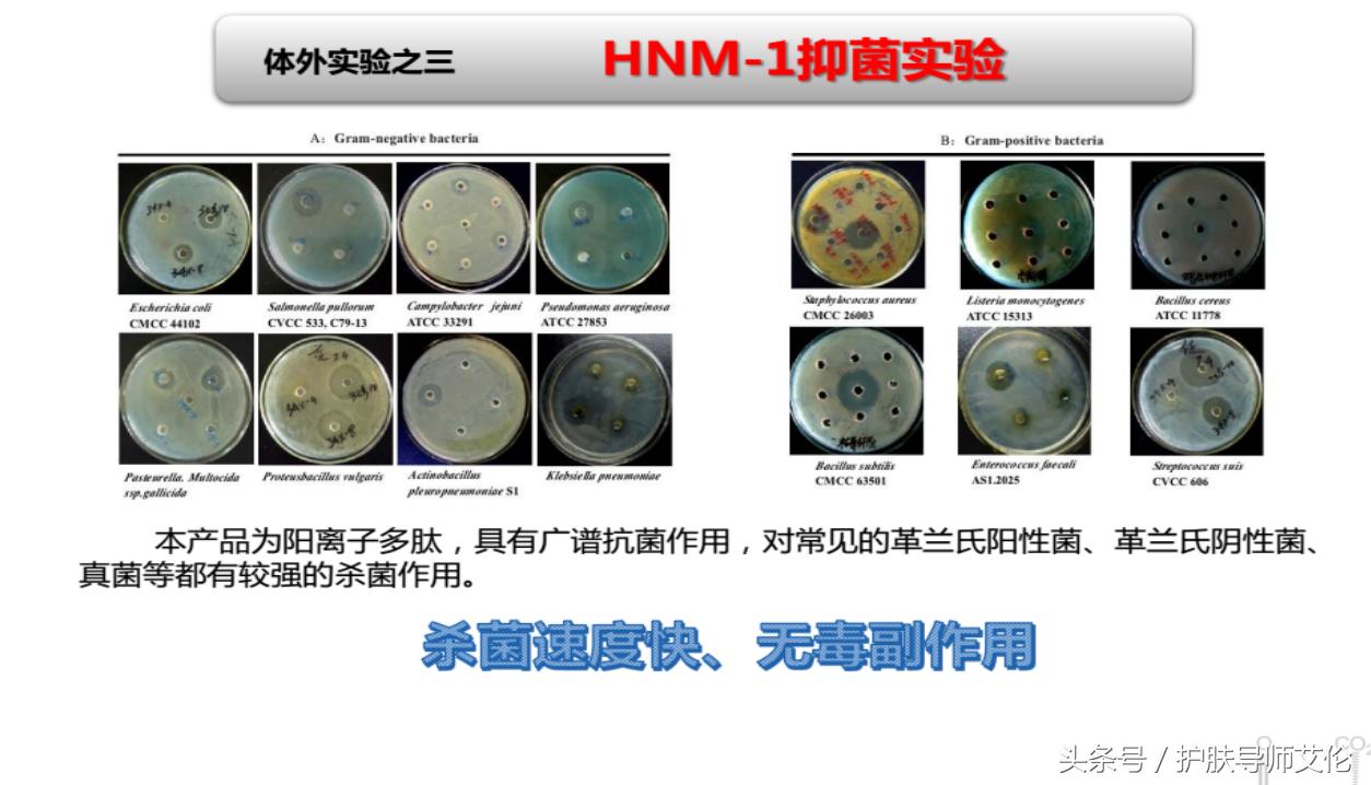 植物祛痘组合价格表,植物草本祛痘