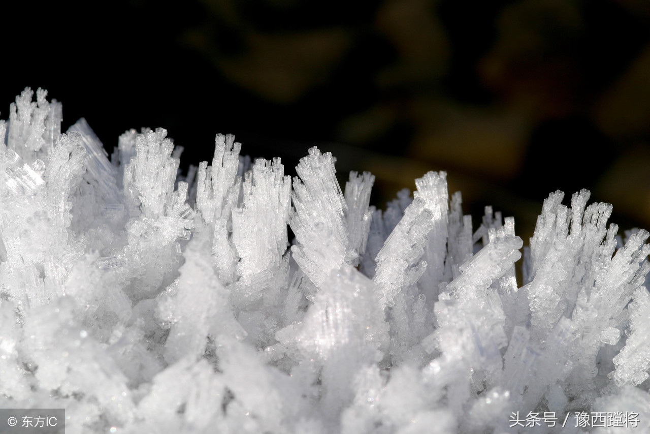 棉被加水挡住子弹是真的吗,棉被加水真的能防子弹吗