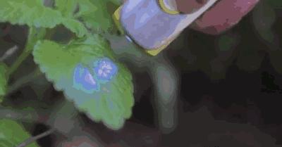 史上最强扫一扫！妈妈再也不用担心买到假货了！