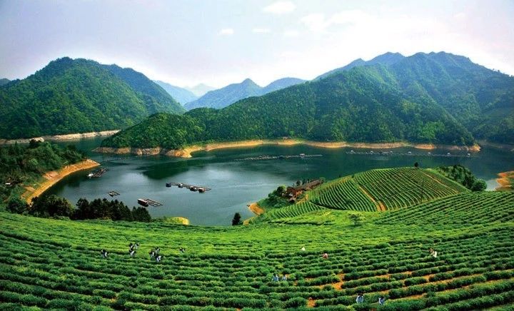 益阳智慧城市发展,益阳正式提出强中心城区战略