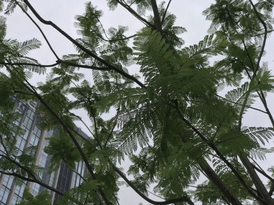 iPhoneXsMax还值得买吗？深度体验后你会有答案